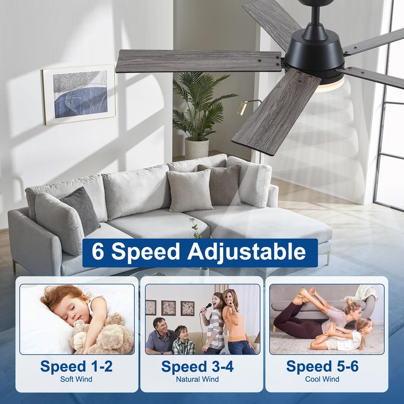 Rayqueen 52 Inch Ceiling Fans with Lights and Remote, Black