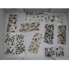 Tred-Not 10 pk ALL INSECT STICKY TRAPS. Fly, Spider, Cricket,
