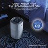 Clorox Medium Room Air Purifier True HEPA Replacement Filter, 1,000