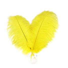 Happy Feather 16-18 inch Yellow Ostrich Feathers Craft for Wedding Party Centerpieces Home Decoration DIY Craft Pack of 10