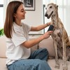 Grooming Deshedding Brush for Cats, Dogs and Horses, Hair and