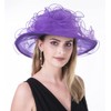 Lucky Leaf Women Derby Church Dress Hat Wide Brim Leaf