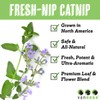 Van Ness Fresh-Nip Catnip, 1-Ounce