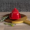 Now Designs Stoneware Rectangle Butter Dish with Lid, Red 4.5