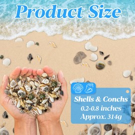 MAQIHAN Tiny Seashells for Crafts - Small Sea Shells Mixed Ocean Beach Shells Bulk for Home Decorations Wedding Decor Beach Theme Party Vase Filler (0.2-0.8 in, 314 Grams)