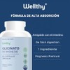 Wellthy Glicinato de Magnesio 300 Cápsulas 432mg. 100% Natural,100% Puro,
