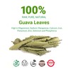 2.6oz Hoja De Guayaba, Dried Guava Leaf, All-Natural Guava Leaves,