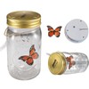 Butterfly Collection With LED Light - Animated Glass Jar Gift