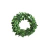 Preserved Boxwood Wreath