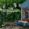 Bird Feeder with Camera, Smart AI Bird Identification & Solar