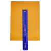 It's Academic Flexi Rulers, 12-inch Flexible Non-Breakable Ruler, 12-Pack, Blue