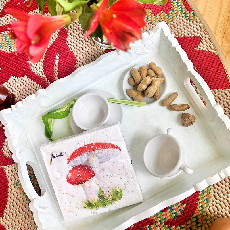 20-ct 6.5 Mushroom Napkins Decorative Napkins for Decoupage Spring Napkins