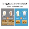 BORT ST58/ST19 Vintage Edison Bulbs, Neutral White 4000K, 6W Equivalent
