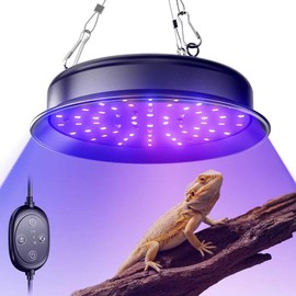 TFNN UVB Reptile Light