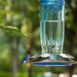 Kingsyard Kingsyard Glass Hummingbird Feeder for Outdoors Wild Bird Feeder with 6 Feeding Ports Hanging for Garden Yard, Blue (Ant Moat Included)