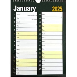 2025 WALL CALENDAR HOME OFFICE, EASY LARGE MONTH TO VIEW (Large Print Planner)
