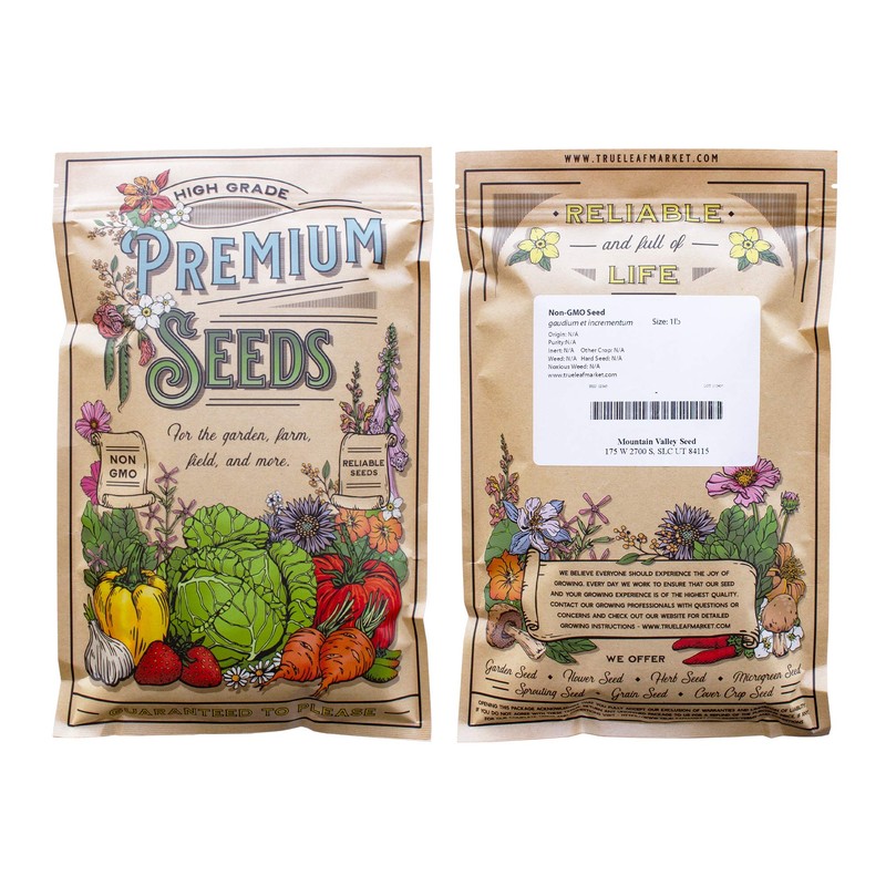 Celery Seeds - Tendercrisp - 1 Lb Bulk ~1M Seeds