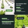 32oz Aeroponics & Hydroponics Liquid Plant Food - Up to