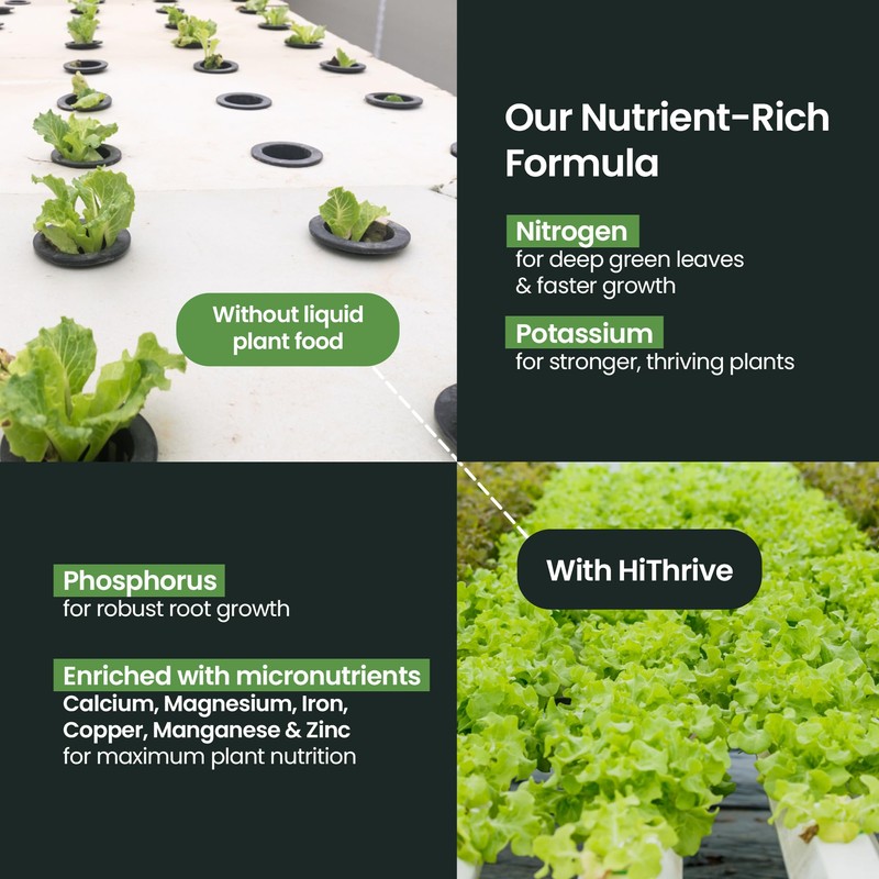 32oz Aeroponics & Hydroponics Liquid Plant Food - Up to