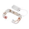 Floral Resin Letter Light Dry Flower and Alphabet Shape LED
