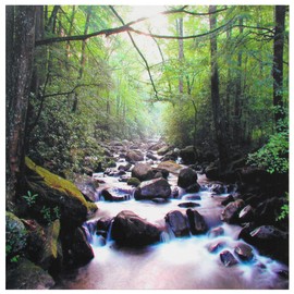 Oriental Furniture River of Life Canvas Wall Art