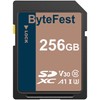 ByteFest SD Card 256GB UHS-I SDXC Memory Card - C10,