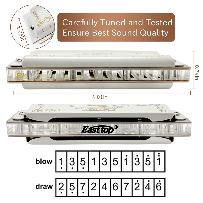 East top Diatonic Blues Harmonica Bb Key T008L 10 Hole