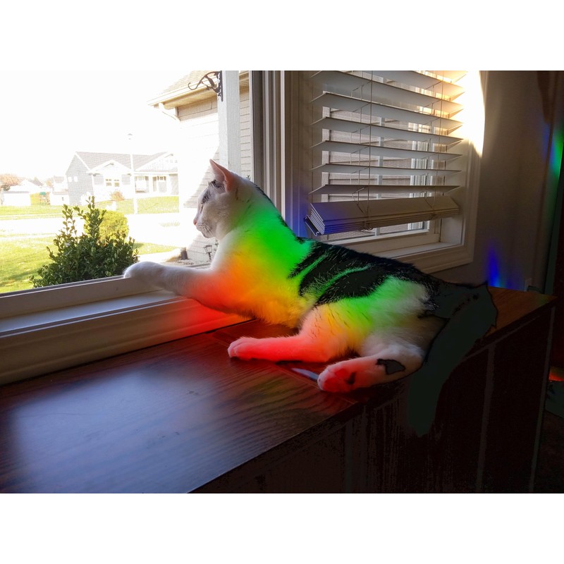 Diffraction Grating Sheet - Do-it-Yourself Sun Catcher - Bring Rainbows