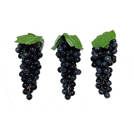 V517N Grape Sample Realistic Food Sample Fruit Fruit Display Ornament Set of 3 / Black