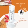 Chicken Oyster Shell Feeder and Grit Feeder Combo