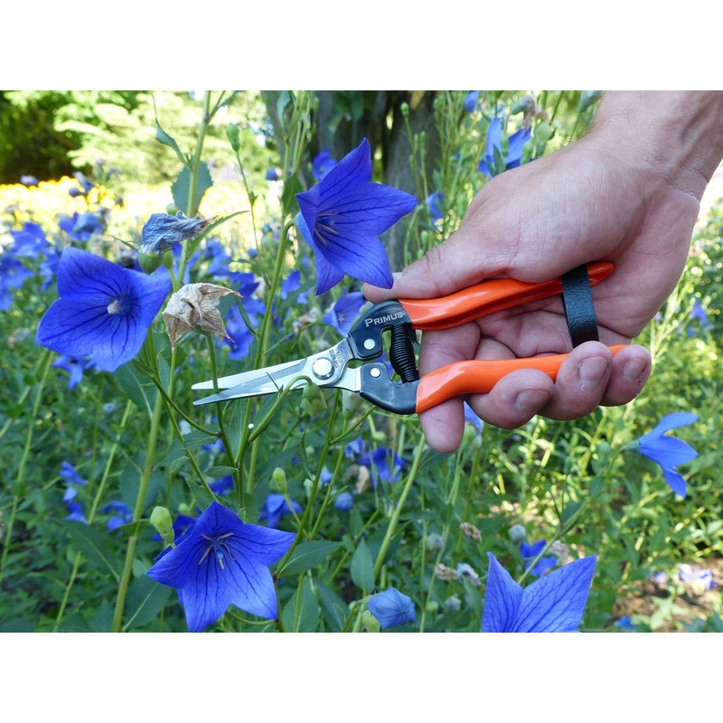 Garten Primus 01040 Garden Shears, Rose Shears, Vine Shears, Florist