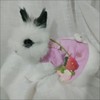 MUYYIKA Rabbit Small Animal Harness Leash Set, Cute Soft Soft