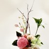 Sweet November 5D Birthday Present for Women, Popular, Cute Japanese