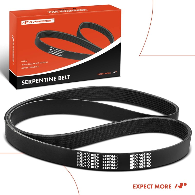 A-Premium Heavy Duty Serpentine Drive Belt Compatible with Blue Bird,