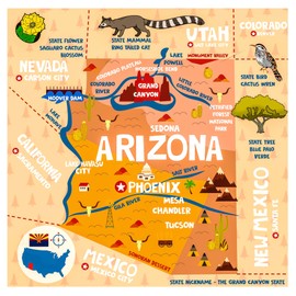 Birdy Boutique Arizona Map Tapestry – 60" x 59" Educational State Wall Hanging for Kids – Landmarks, Cities, Wildlife, Fun Facts – Lightweight Geography Decor for Classroom, Homeschool, Bedroom