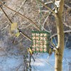Bird Feeder for Outdoors, Suet Feeder for Outside Hanging Suet