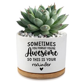 AKAQCHANG You're Awesome Funny Succulent Plant Pot,Cute Ceramic Cactus Planter Pot with Drainage,Verandahs Home Office Desk Decor for Friends Coworker Birthday Christmas Housewarming Gifts(No Plants)