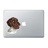 Ivybee Decals German Shorthaired Pointer Color Printed Vinyl Decal 2