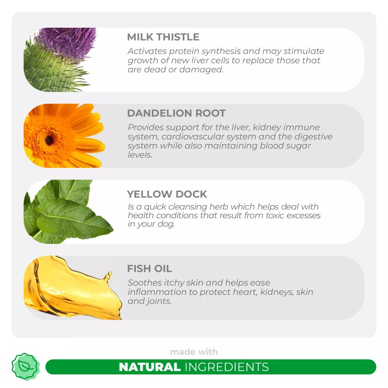 Coco and Luna Milk Thistle for Dogs- Liver and Kidney