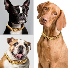 15 mm Wide Golden Stainless Steel Dog Collar Metal Dog Collar Dog Collar Pet Training Walking Collar (50 cm)