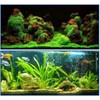 Acuario pegamento instantáneo 5g x 25pcs pegamento de arrecife seguro