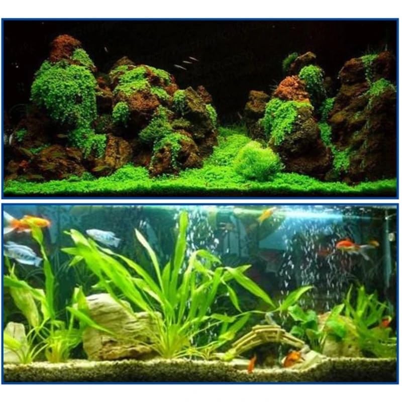 Acuario pegamento instantáneo 5g x 25pcs pegamento de arrecife seguro