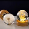 DESHINTKE Dandelion Glowing Crystal Ball Eternal Flower Paperweight