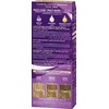 Schwarzkopf Palette Intensive Hair Colour Cream With Liquid Keratin -
