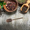 BESTONZON Tea Scoops Vintage Filling Scoop Spice Scoop Coffee Spoon