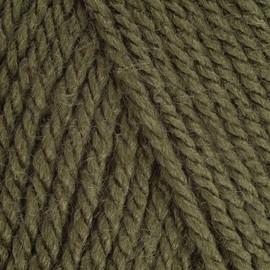 5 x 100g Stylecraft Special DK Double Knit Wool/Yarn Pack of Five (5 x 100g Khaki 1027)