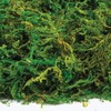 Baker Ross Dried Moss (100g per pack)