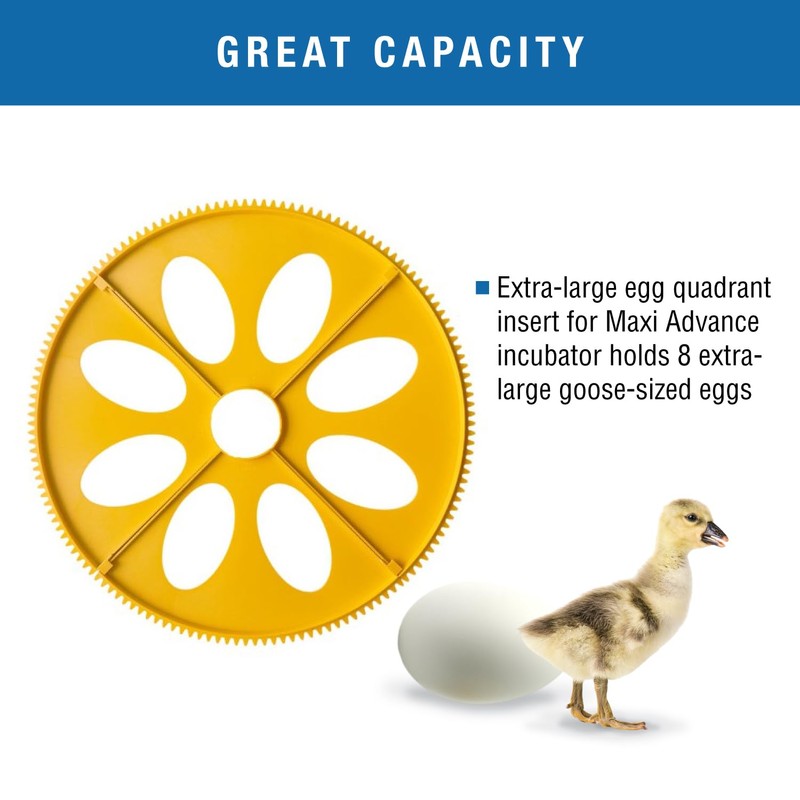 Brinsea Extra Large Egg Quadrant Insert for Maxi Advance Incubator