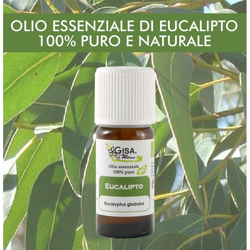 Organic Eucaliptus - 100% Organic, Pure and Natural Essential Oil