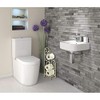 Deco 79 Metal Scroll Toilet Paper Holder with Space to
